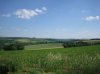 IMG_2931 Niederstetten.jpg