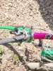 Basso2.jpg