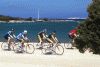 226-sport.gif