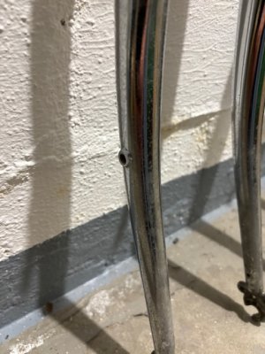 IMG_1374.jpeg