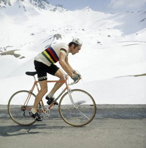 effort-eddy-merckx (1).jpg