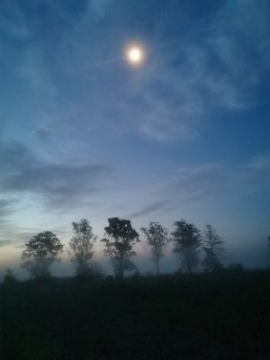 IMG_20240729_044557.jpg