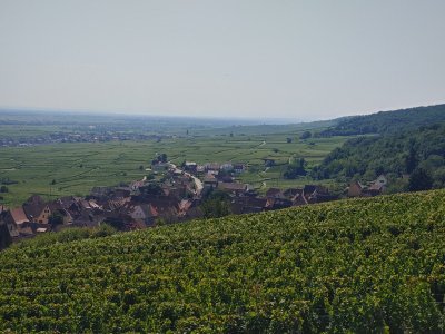 20240828_122657_HDR.jpg