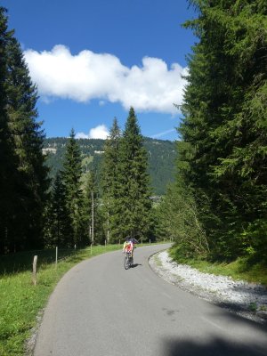 P1110593_neu (1).jpg