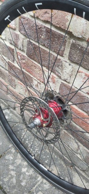 LaufradHydraRot_Hinten2.jpg