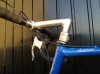 DSC00422.jpg