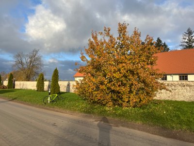 IMG_1347.jpeg