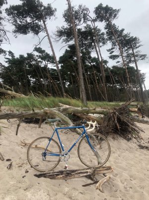 IMG_0085.jpeg