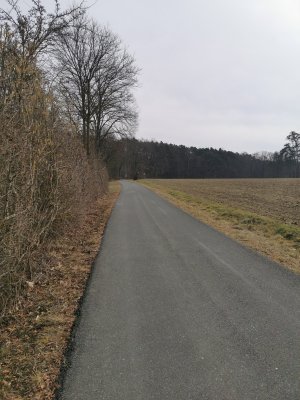 IMG_20250222_112253.jpg