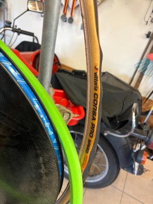 IMG_5201.jpeg
