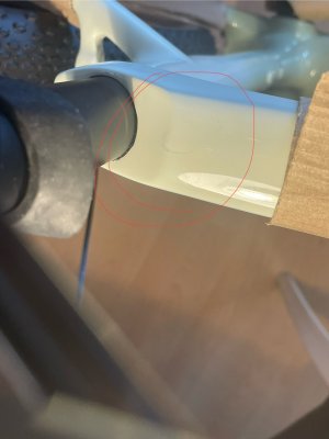 IMG_4528.jpeg