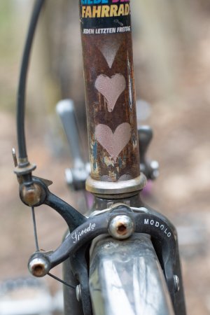 DSC_1025.jpg