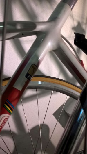 moser.jpg
