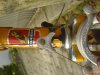 DSC00156.jpg