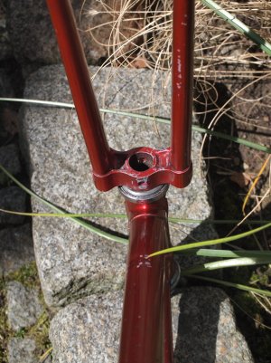 P4201383.JPG