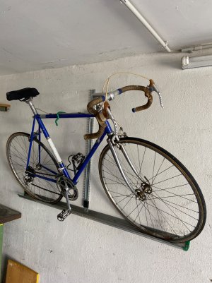IMG_9140.jpeg