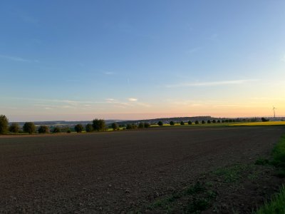 IMG_2282.jpeg