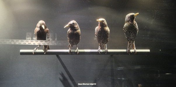 ruhrmuseum5.jpg
