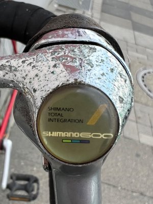 IMG_0217.jpeg