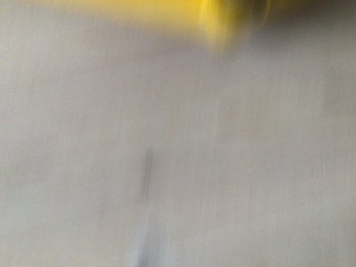 IMG_6206.jpeg