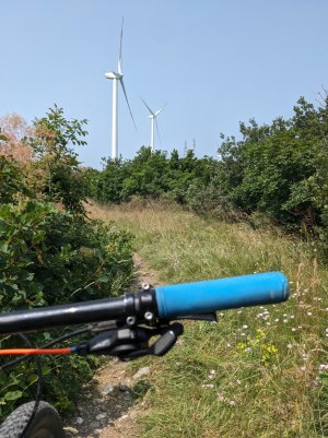 PXL_20250609_092304937.jpg