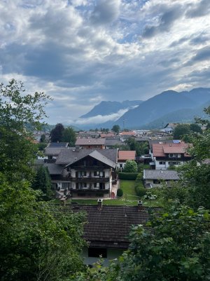 IMG_6182.jpg