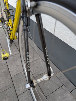 PXL_20250721_173933691.jpg