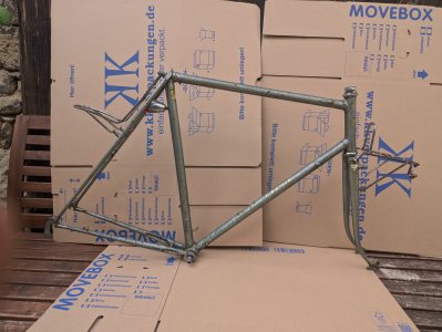 PXL_20241121_100020326.jpg