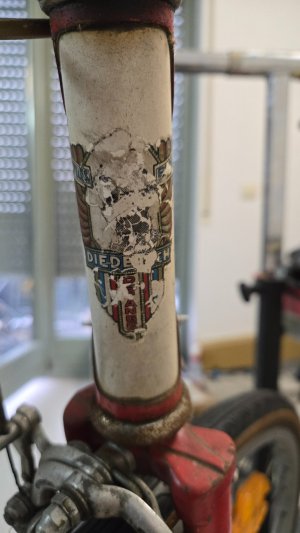 20250727_200927.jpg