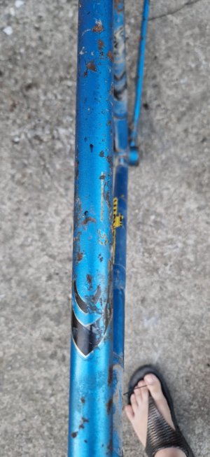 20250823_201358-min.jpg