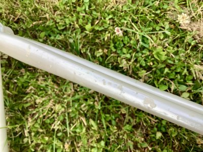 IMG_2799.jpeg
