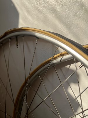 IMG_0527.jpeg