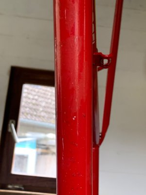IMG_7929.jpeg