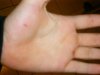 hand 027.jpg