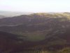 IMAGE_005.jpg