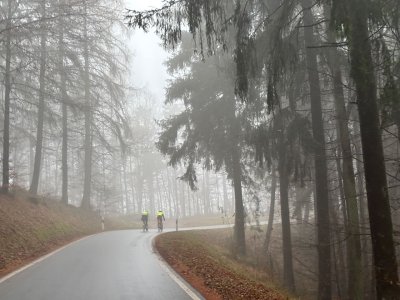 IMG_4143 (2).jpeg IMG_4143 (2).jpeg