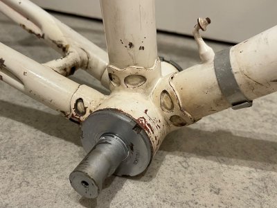 IMG_2213.jpeg IMG_2213.jpeg