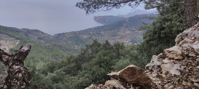 IMG_20251013_155731.jpg IMG_20251013_155731.jpg