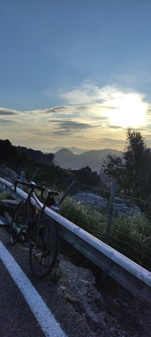 IMG_20250313_075244.jpg IMG_20250313_075244.jpg