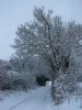schnee2 010.jpg