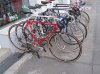 100_0500.JPG