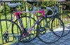 2 Moser c.jpg