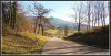 2013-12-31 Markgräfler Hügellandschaft 2.jpg