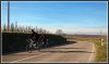 2013-12-31 Markgräfler Hügellandschaft.jpg