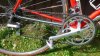 Colnago (4).jpg