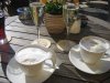 IMG_0237%20Pause.jpg