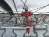 IMG_0168.JPG