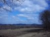 DSC00217.jpg
