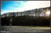 2015-12-25 Biederbach.jpg