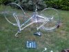 IMG00245-20110528-1811.jpg